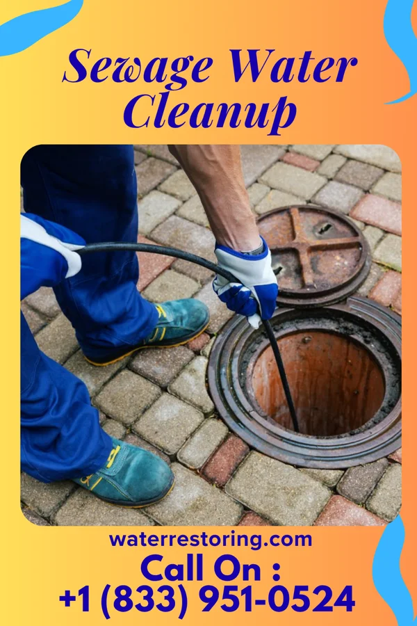 Sewage Water Cleanup in St. Augusta, MN